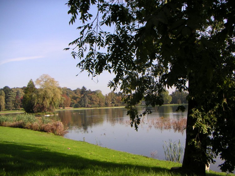 Fonds d'cran Nature Parcs - Jardins Parc de Tervuren (Belgique)