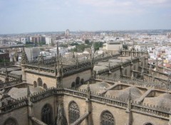 Fonds d'cran Voyages : Europe La cathdrale de Sville vue d'en haut