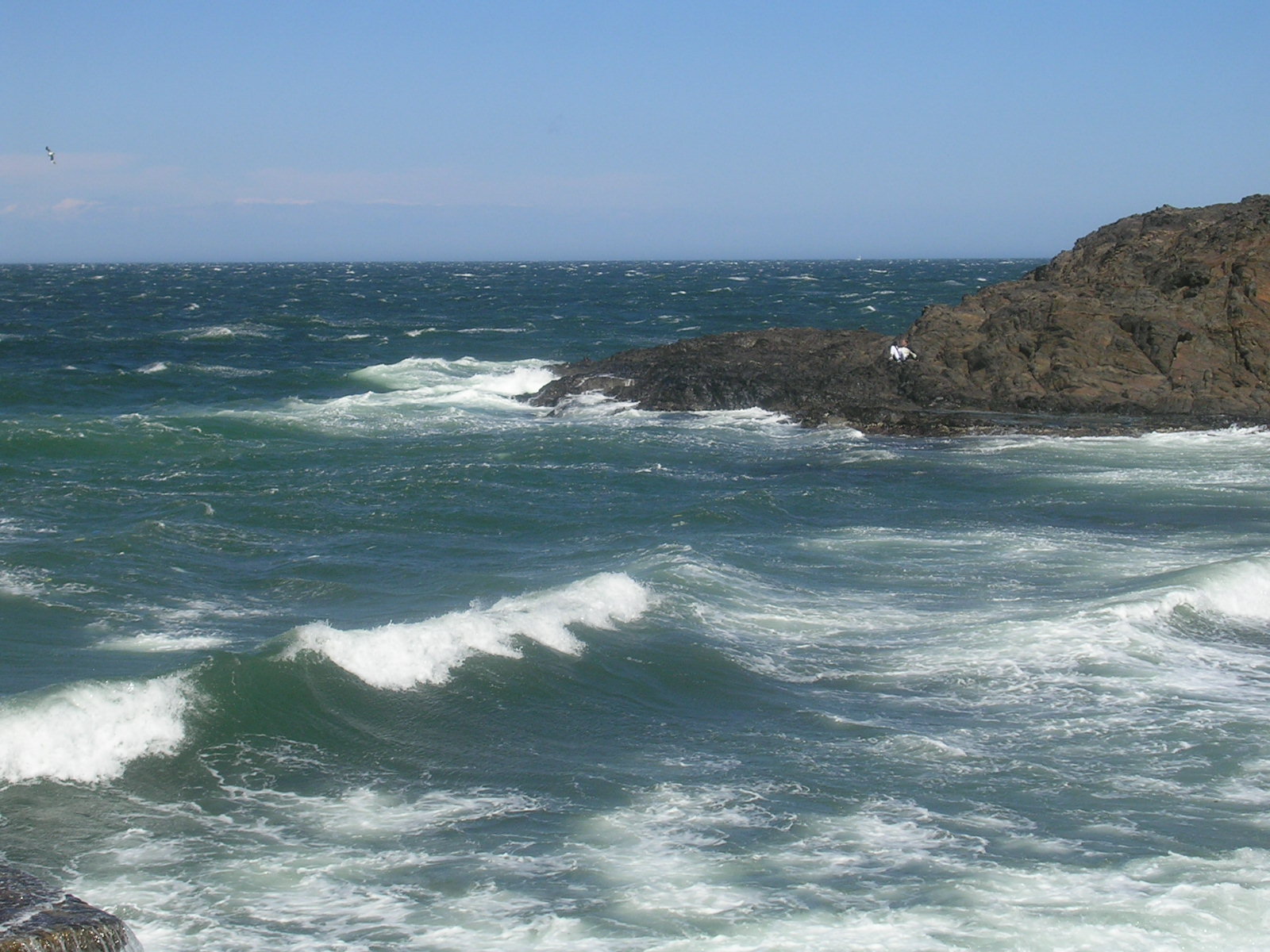 Fonds d'cran Nature Mers - Ocans - Plages Collioure