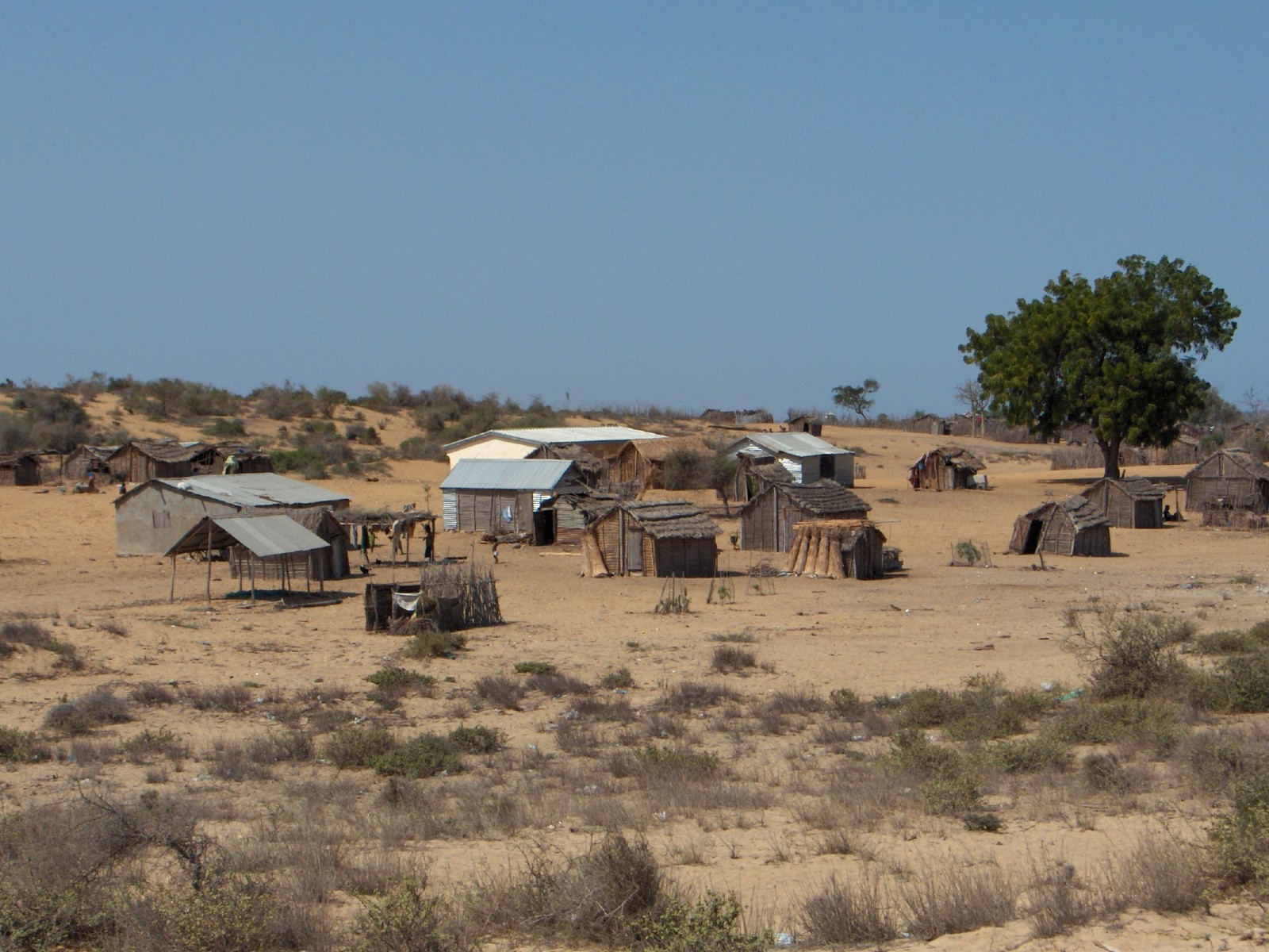 Fonds d'cran Voyages : Afrique Madagascar De Tular  Ifaty