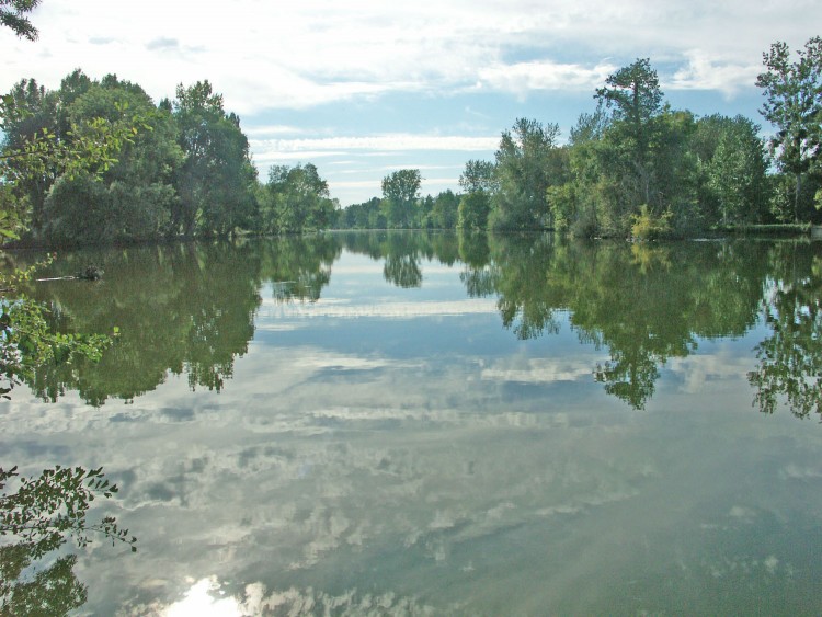 Fonds d'cran Nature Fleuves - Rivires - Torrents Le Thouet