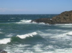 Wallpapers Nature Collioure