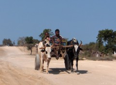 Fonds d'cran Voyages : Afrique Transport dans le sud