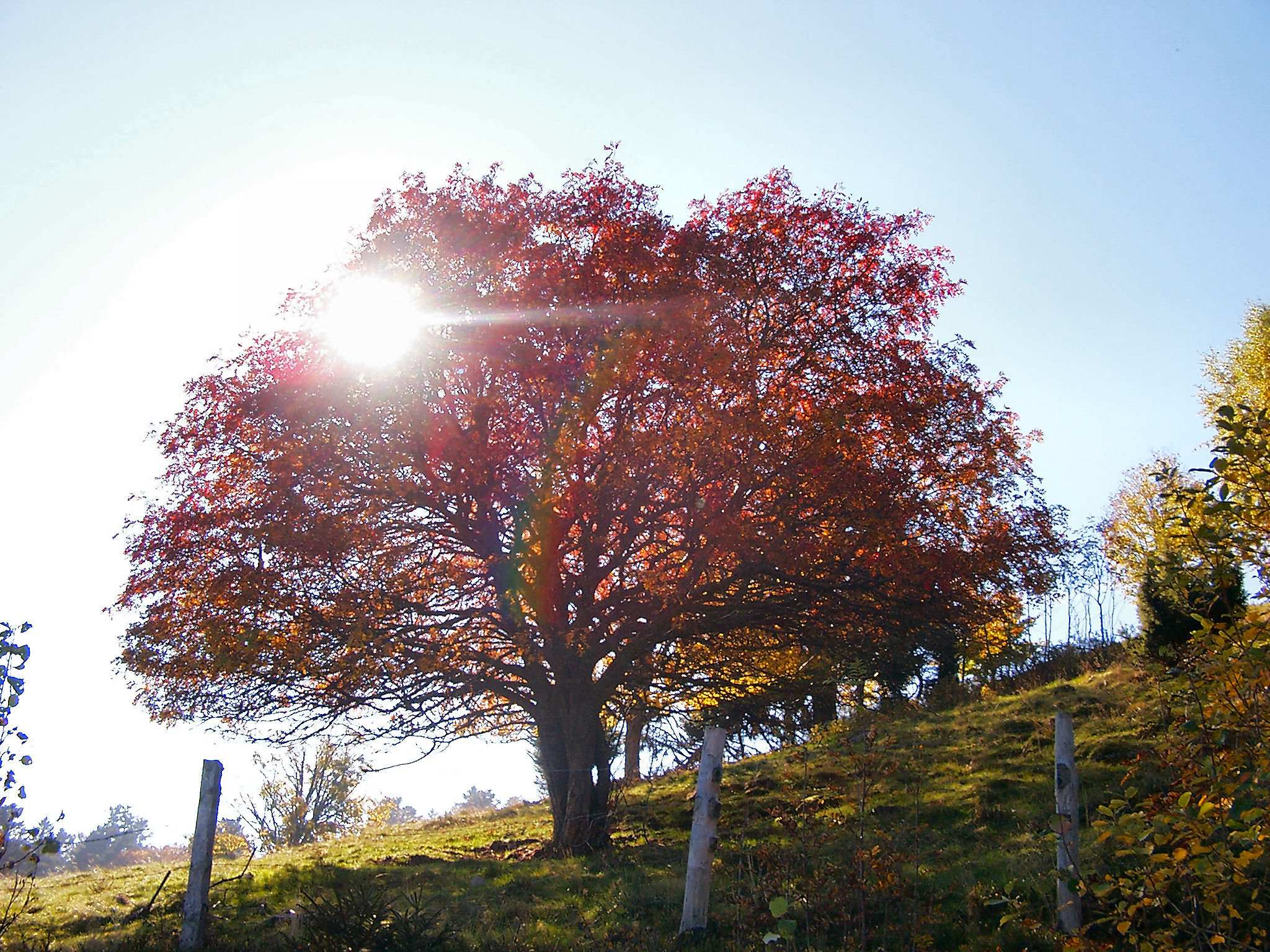 Fonds d'cran Nature Saisons - Automne 