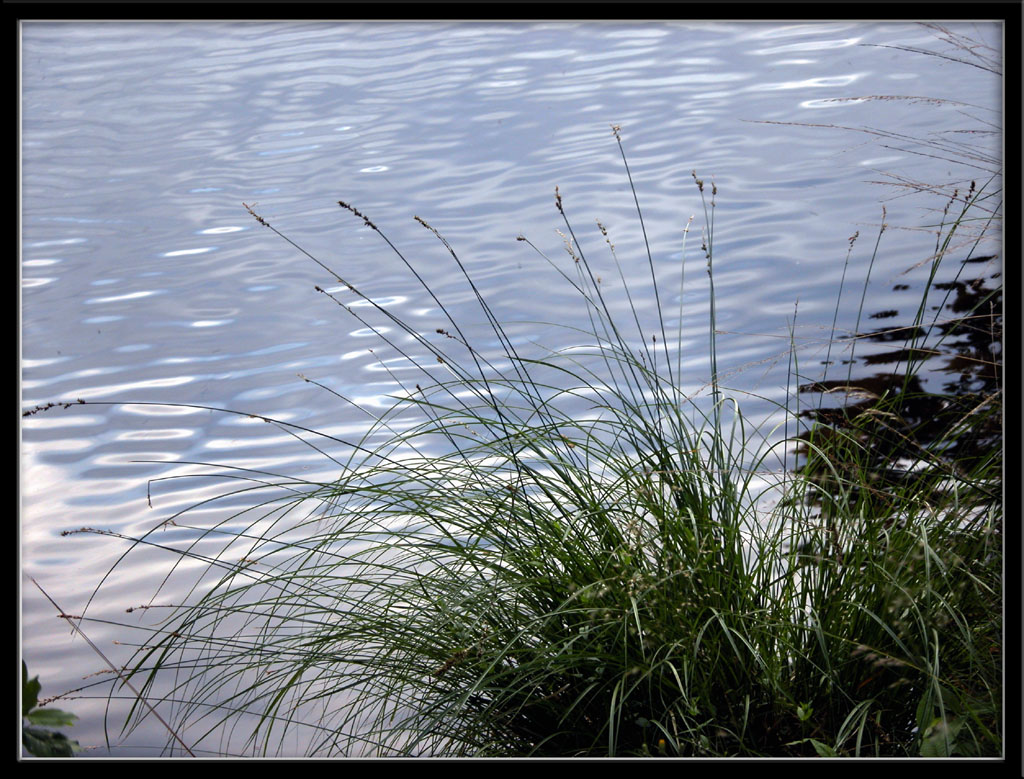 Fonds d'cran Nature Lacs - Etangs bord d'tang