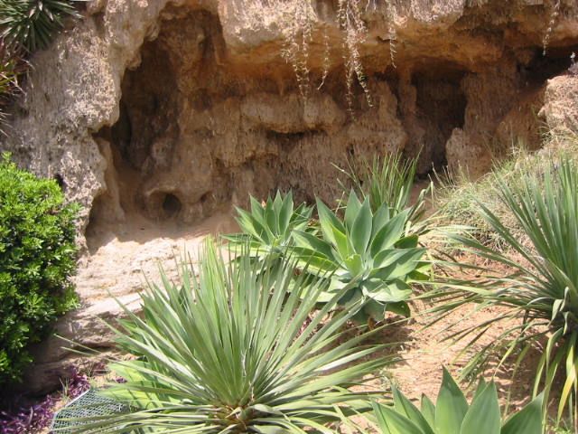 Fonds d'cran Voyages : Europe Espagne La grotte aux alos - Andalousie