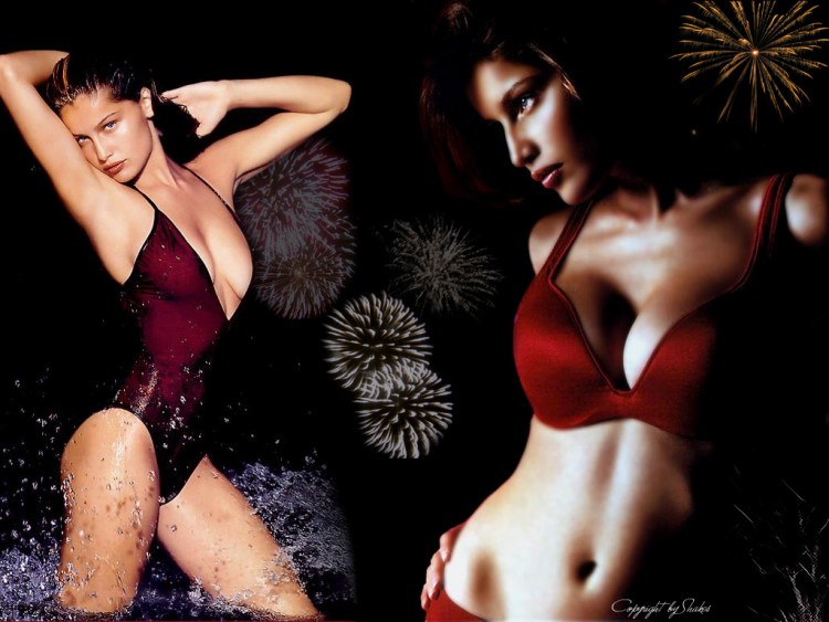 Wallpapers Celebrities Women Laetitia Casta Laetitia Casta