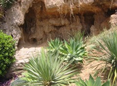 Fonds d'cran Voyages : Europe La grotte aux alos - Andalousie