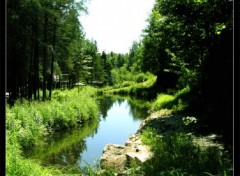 Fonds d'cran Nature Je m'appel Normand et je cre mon propre Environement...