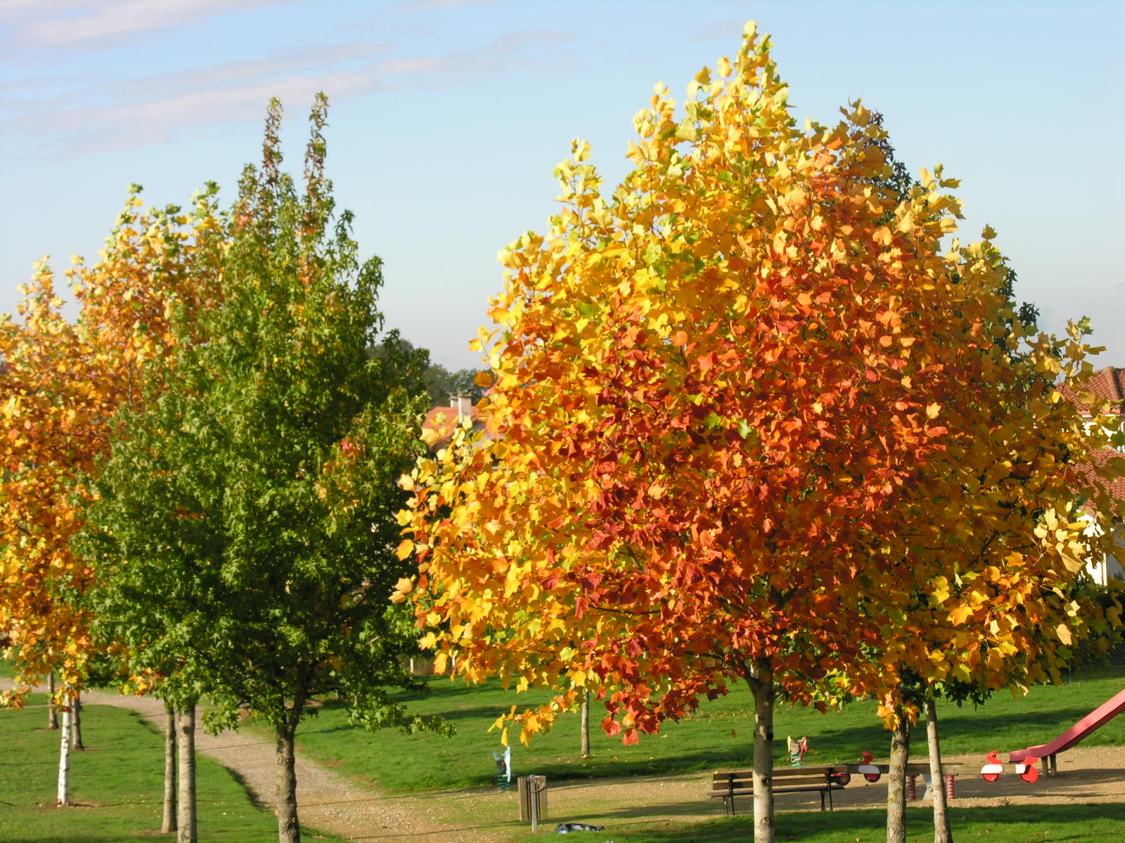 Fonds d'cran Nature Saisons - Automne 