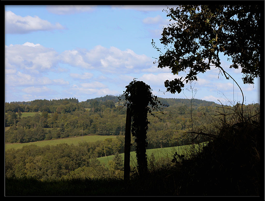 Wallpapers Nature Landscapes  Qu'il est doux mon Limousin !