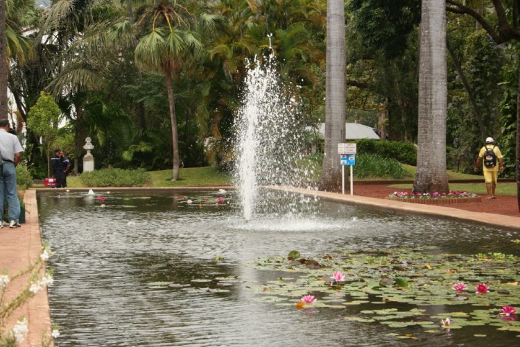 Fonds d'cran Nature Parcs - Jardins Jardin de l'Etat  St-Denis