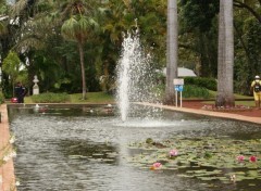 Fonds d'cran Nature Jardin de l'Etat  St-Denis