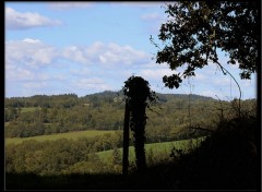 Wallpapers Nature  Qu'il est doux mon Limousin !