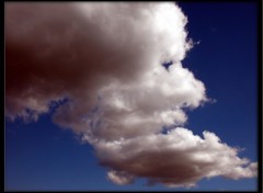 Fonds d'cran Nature Sentier de nuages