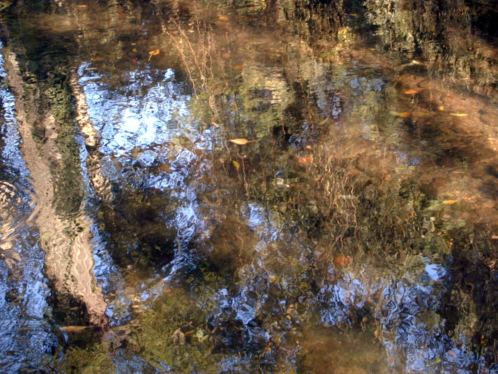 Wallpapers Nature Water - Reflection Reflets