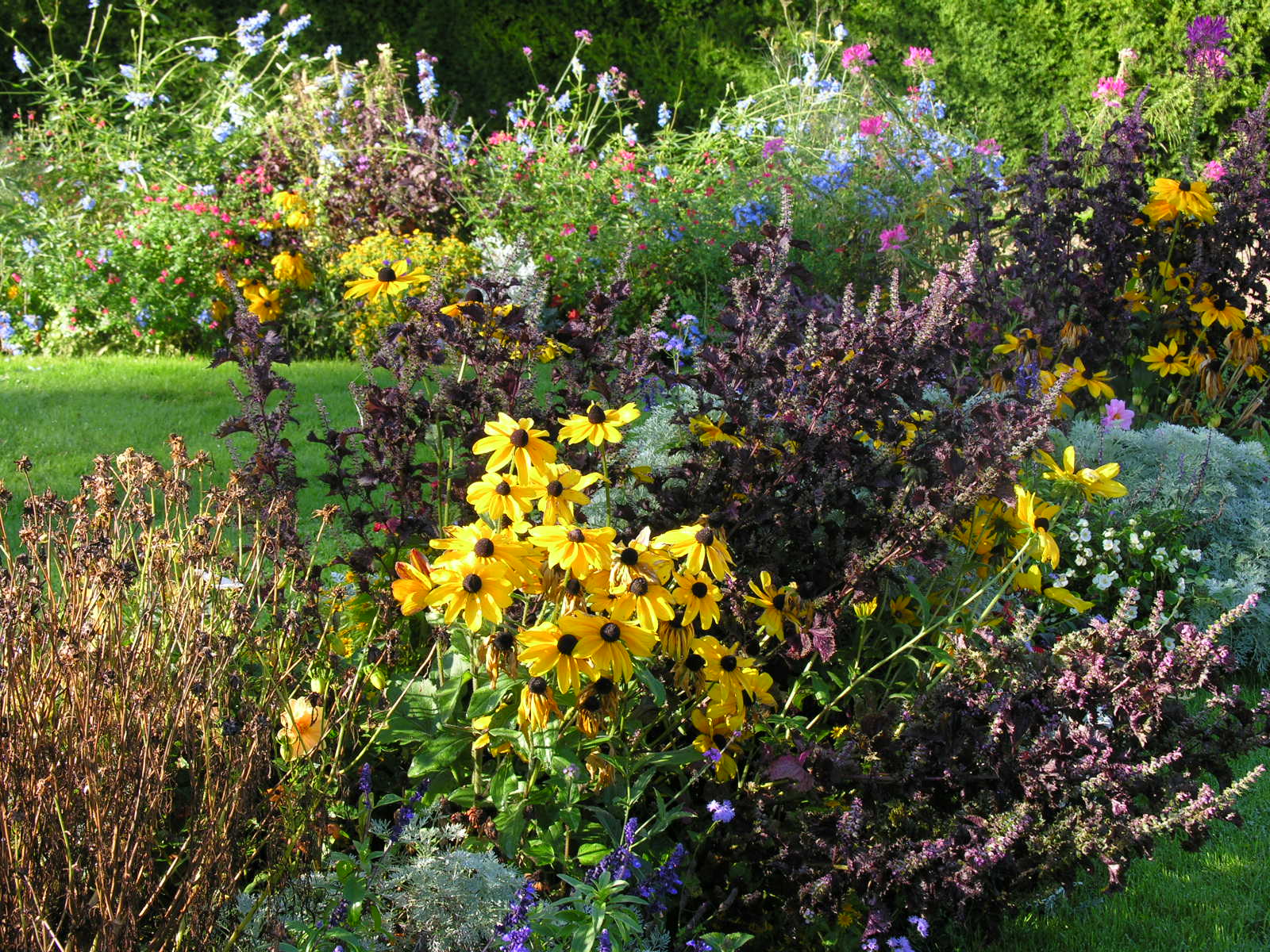 Fonds d'cran Nature Fleurs 