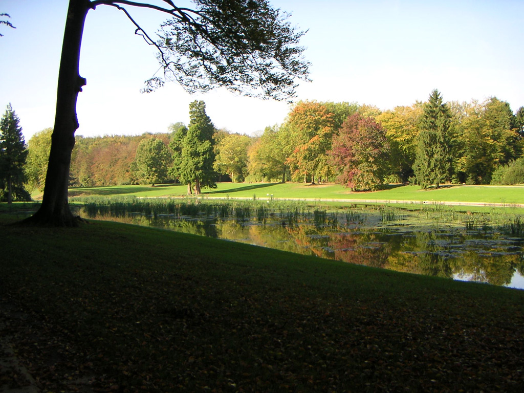 Wallpapers Nature Parks - Gardens Parc de Tervuren (Belgique)