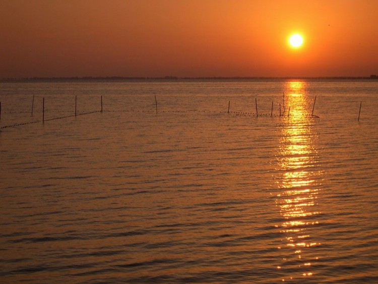 Wallpapers Nature Sunsets and sunrises Etang de Vaccares - Camargue