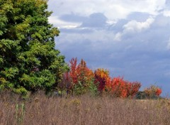 Wallpapers Nature Parure d'automne....