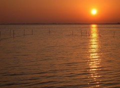 Wallpapers Nature Etang de Vaccares - Camargue