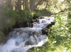 Fonds d'cran Nature Bolquere - Pyrenees