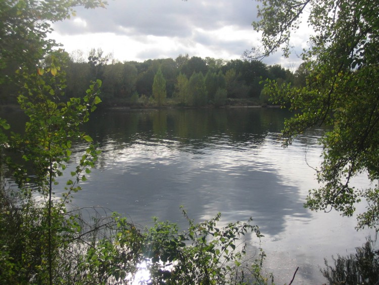 Fonds d'cran Nature Fleuves - Rivires - Torrents Reflets sur seine