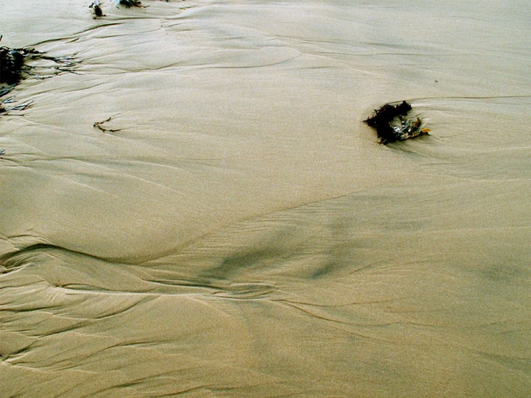 Fonds d'cran Nature Mers - Ocans - Plages trace sur la plage