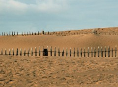 Wallpapers Nature dune du veillon