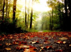 Wallpapers Nature Automne