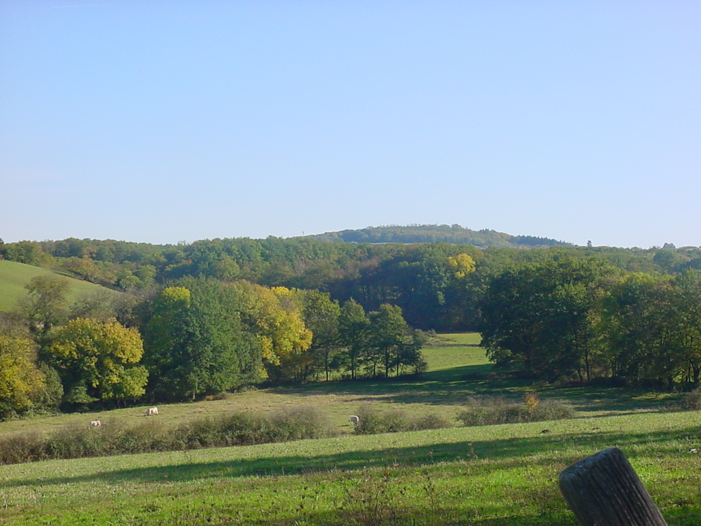 Wallpapers Nature Landscapes ca fait du bien , non ?