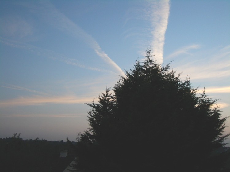 Fonds d'cran Nature Arbres - Forts Le ciel vu de ma fenetre...