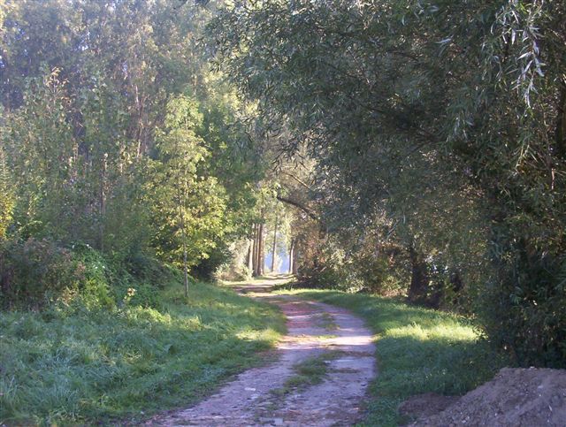 Wallpapers Nature Trees - Forests Chemin de ballade en Picardie