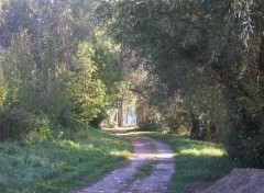 Fonds d'cran Nature Chemin de ballade en Picardie