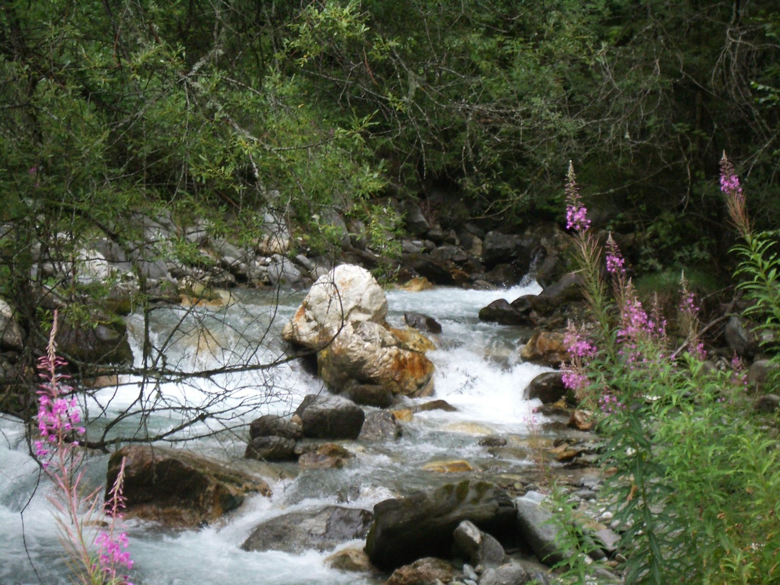 Fonds d'cran Nature Fleuves - Rivires - Torrents Un cours d'eau dans les Alpes