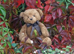 Fonds d'cran Objets Petit Ours d'automne...