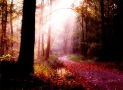 Fonds d'cran Nature Chemin d'automne en Lorraine