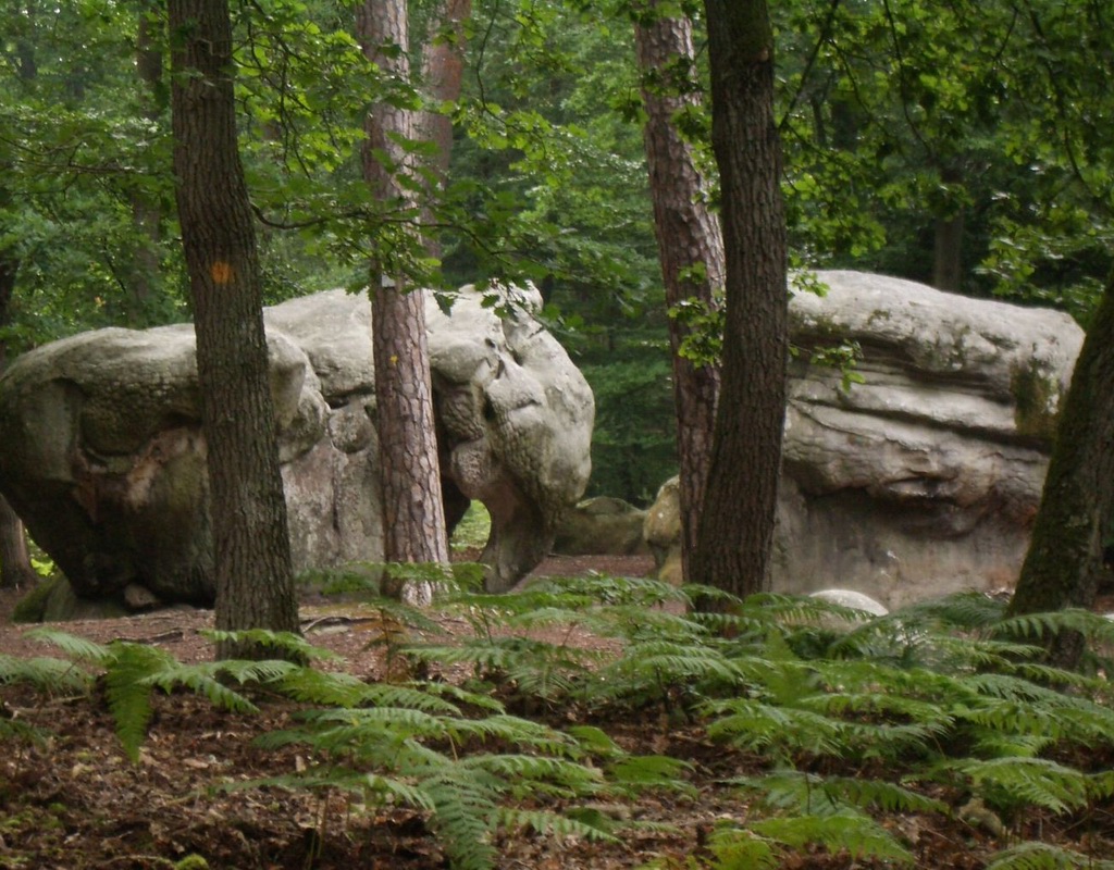 Fonds d'cran Nature Arbres - Forts Rocher Elephant