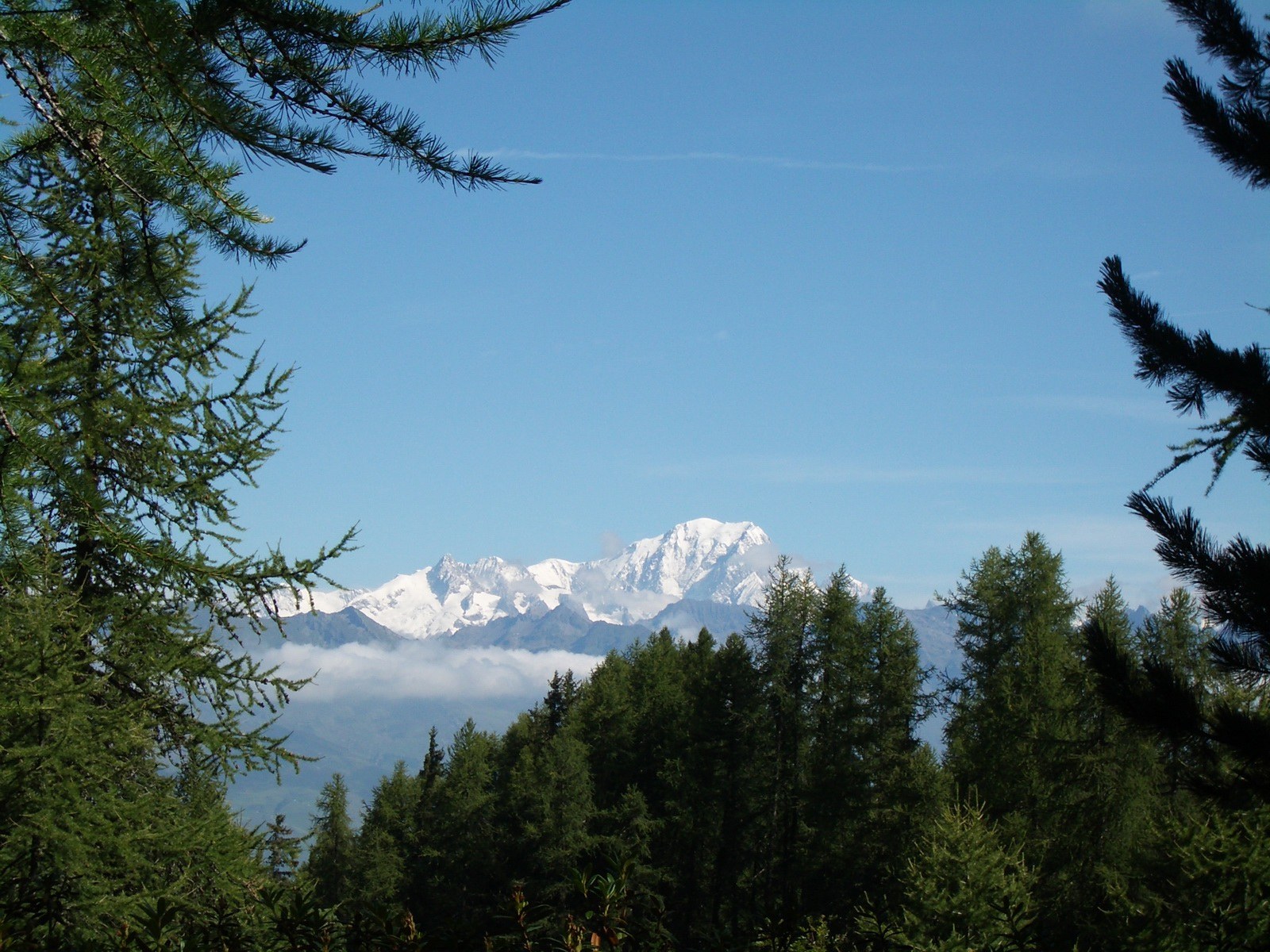 Wallpapers Nature Mountains Une fenetre sur le Mt Blanc