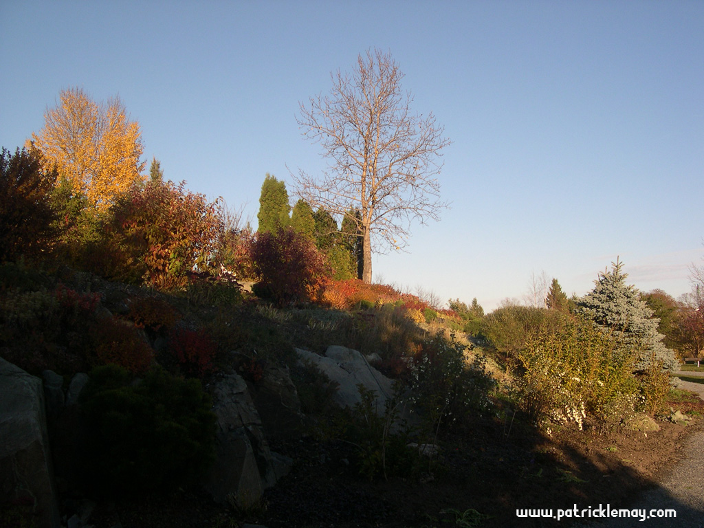 Fonds d'cran Nature Paysages Fleurs