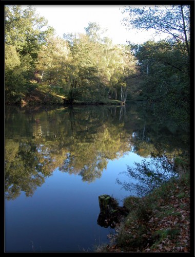 Wallpapers Nature Lakes - Ponds Etang-matin