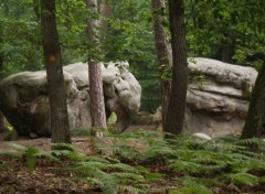 Fonds d'cran Nature Rocher Elephant