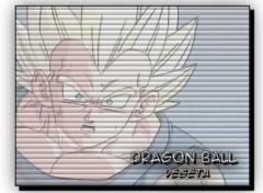 Fonds d'cran Manga Vegeta