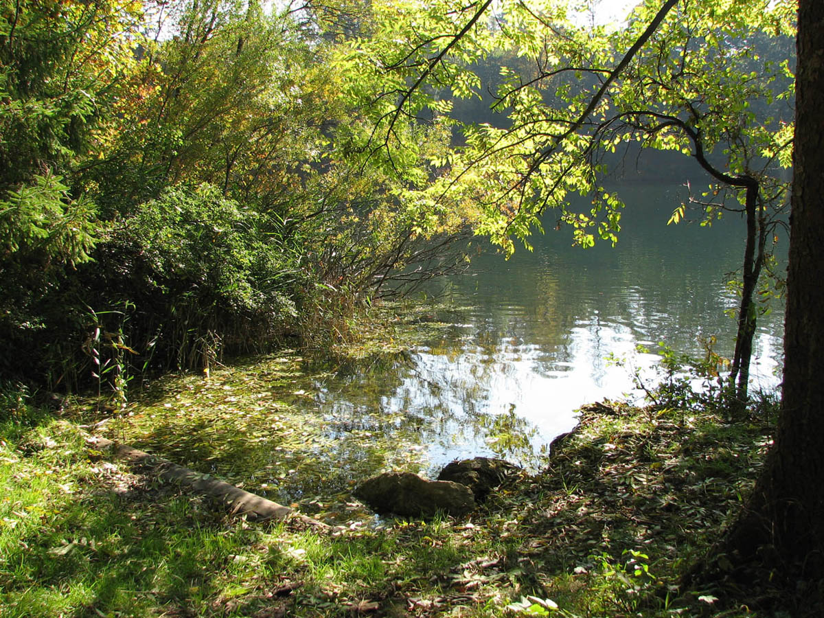 Fonds d'cran Nature Lacs - Etangs reflets pour Talou ?