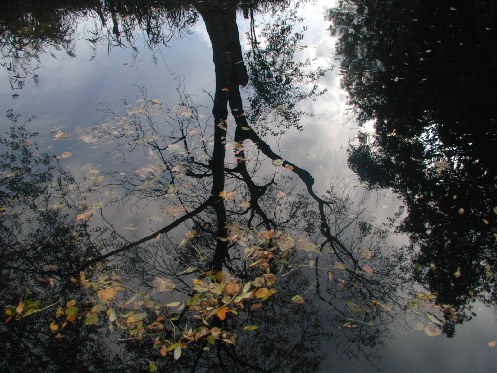 Wallpapers Nature Water - Reflection Reflets