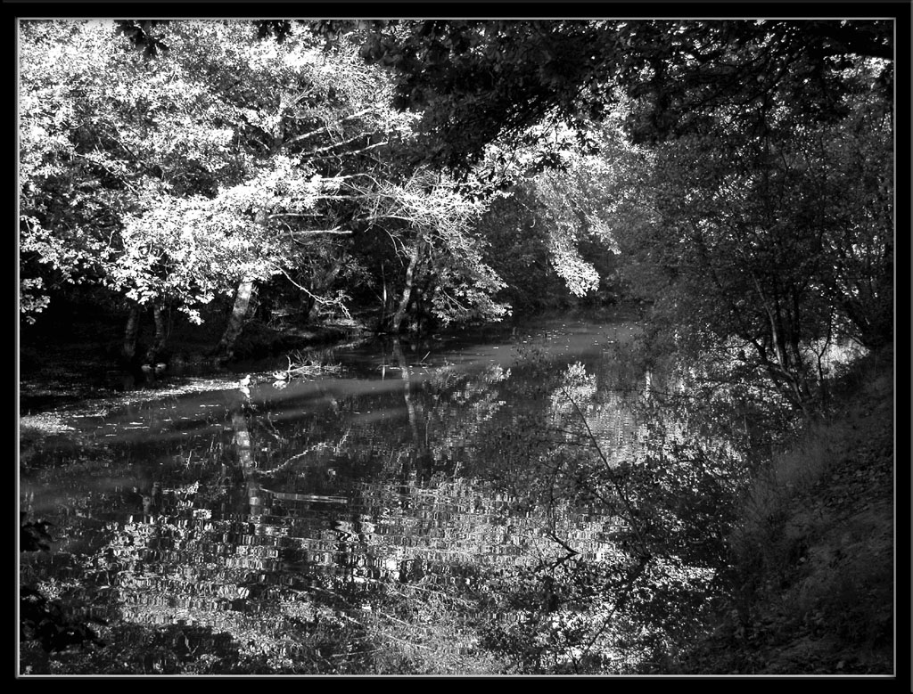 Fonds d'cran Nature Lacs - Etangs Etang-noir et blanc