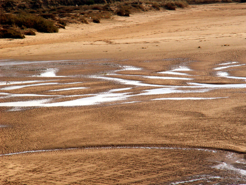 Wallpapers Nature Seas - Oceans - Beaches marais de la guitire