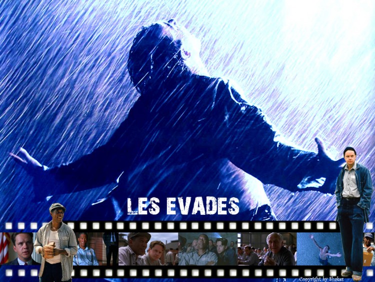 Wallpapers Movies The Shawshank Redemption Les evades