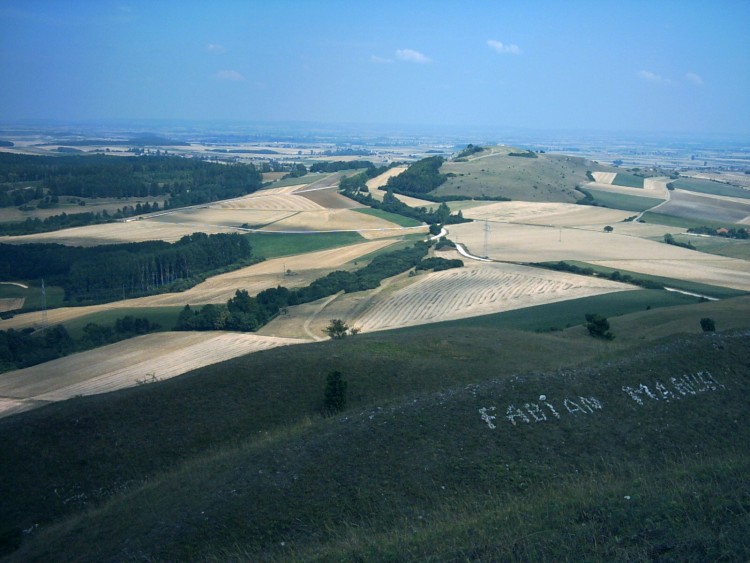 Wallpapers Nature Fields Wallpaper N120356