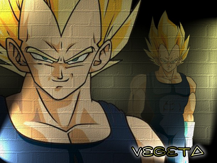 Fonds d'cran Manga Dragon Ball Vegeta